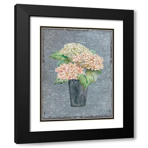 Hydrangea on Galvanized Metal Black Modern Wood Framed Art Print with Double Matting by Robinson, Carol