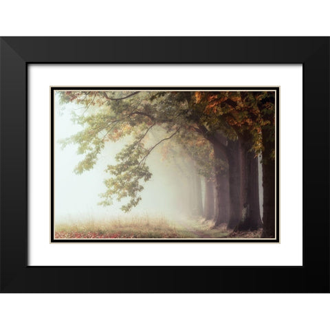 Dawnscratchers Black Modern Wood Framed Art Print with Double Matting by Van de Goor, Lars