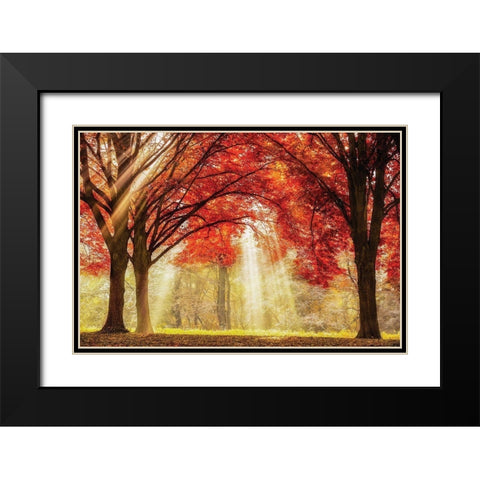 Everland Black Modern Wood Framed Art Print with Double Matting by Van de Goor, Lars
