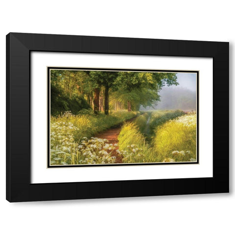 Spring in Holland Black Modern Wood Framed Art Print with Double Matting by Van de Goor, Lars