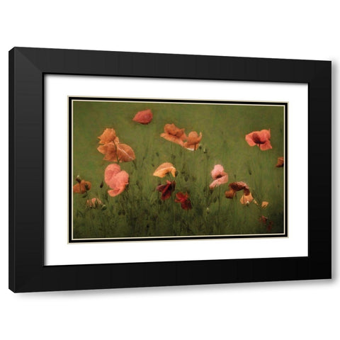 The Wild Black Modern Wood Framed Art Print with Double Matting by Van de Goor, Lars
