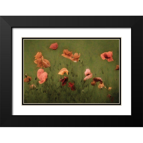 The Wild Black Modern Wood Framed Art Print with Double Matting by Van de Goor, Lars
