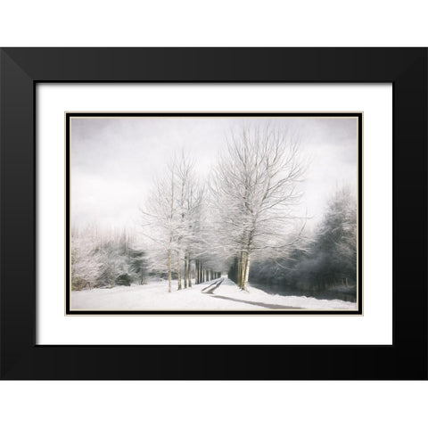 Winter is Here Black Modern Wood Framed Art Print with Double Matting by Van de Goor, Lars