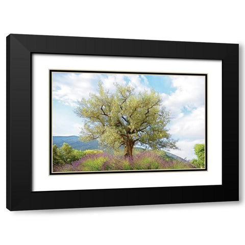 Olive Tree Black Modern Wood Framed Art Print with Double Matting by Van de Goor, Lars