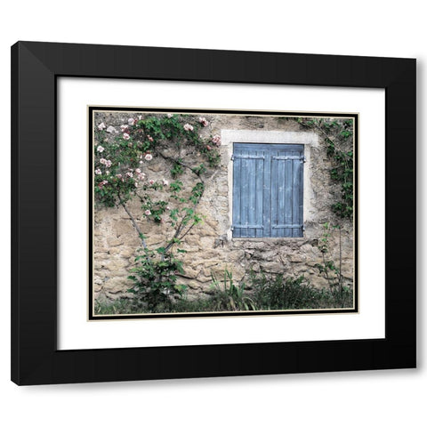 Roses In Black Modern Wood Framed Art Print with Double Matting by Delimont, Danita