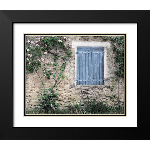 Roses In Black Modern Wood Framed Art Print with Double Matting by Delimont, Danita