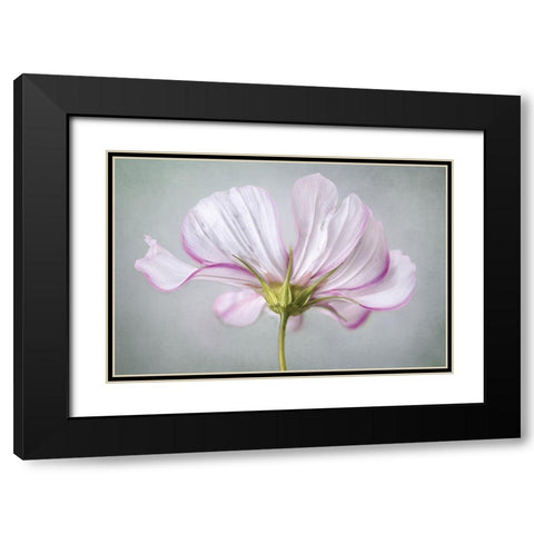 Textured Floral Black Modern Wood Framed Art Print with Double Matting by Disher, Mandy