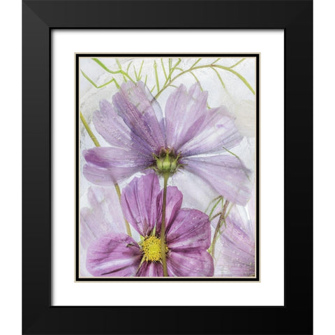 Frozen In Time I Black Modern Wood Framed Art Print with Double Matting by Disher, Mandy