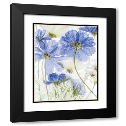 Frozen In Time II Black Modern Wood Framed Art Print with Double Matting by Disher, Mandy