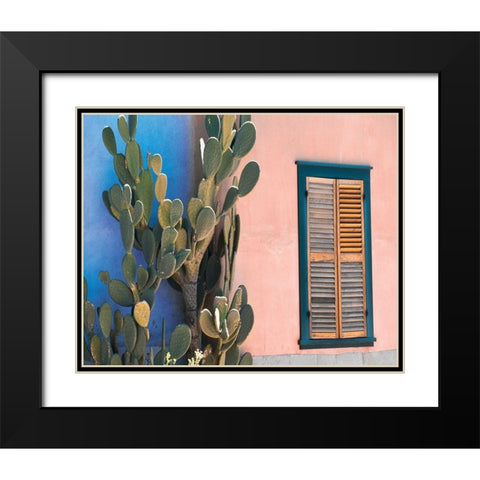 Cactus Profile Black Modern Wood Framed Art Print with Double Matting by Delimont, Danita