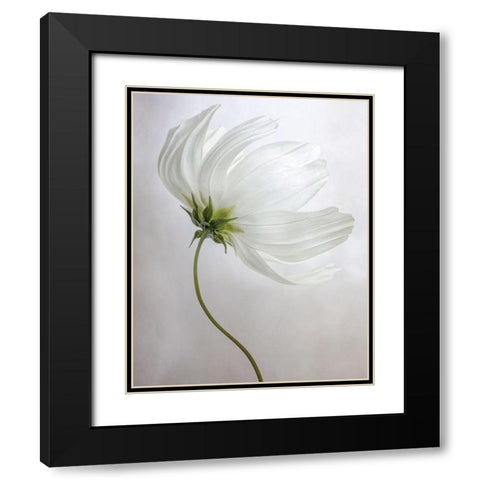Etherial Black Modern Wood Framed Art Print with Double Matting by Disher, Mandy