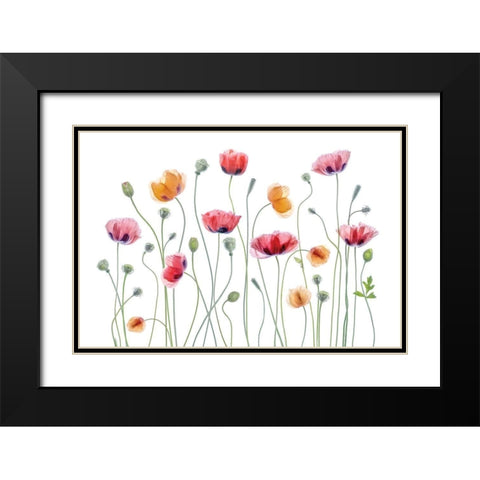 High Key Poppy Black Modern Wood Framed Art Print with Double Matting by Disher, Mandy