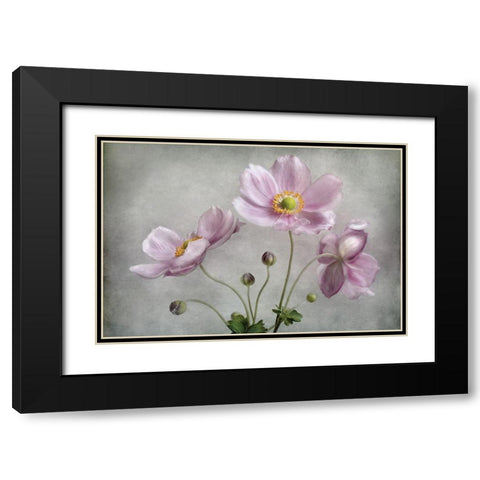 Textured Floral Black Modern Wood Framed Art Print with Double Matting by Disher, Mandy