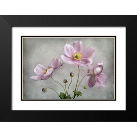 Textured Floral Black Modern Wood Framed Art Print with Double Matting by Disher, Mandy