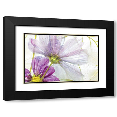Frozen Floral I Black Modern Wood Framed Art Print with Double Matting by Disher, Mandy