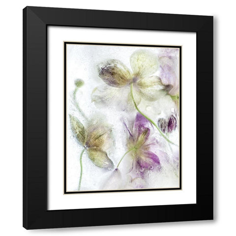 Frozen Floral IV Black Modern Wood Framed Art Print with Double Matting by Disher, Mandy