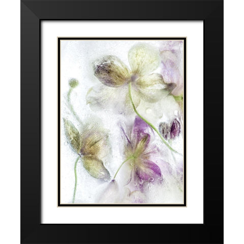 Frozen Floral IV Black Modern Wood Framed Art Print with Double Matting by Disher, Mandy