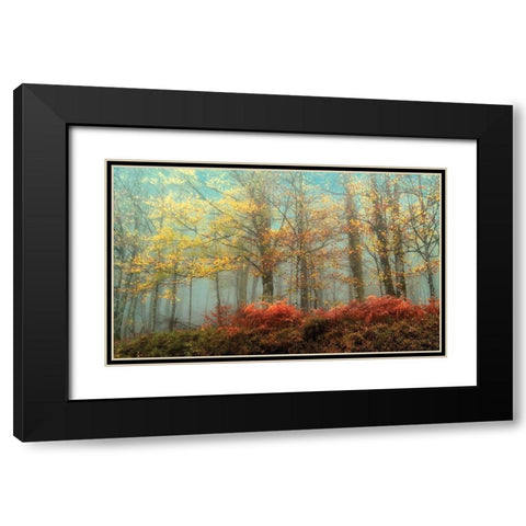 Beeches In Black Modern Wood Framed Art Print with Double Matting by Van de Goor, Lars