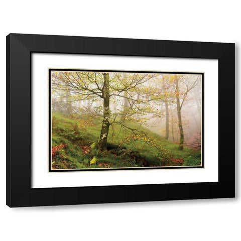 Spring Or Black Modern Wood Framed Art Print with Double Matting by Van de Goor, Lars