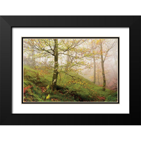 Spring Or Black Modern Wood Framed Art Print with Double Matting by Van de Goor, Lars