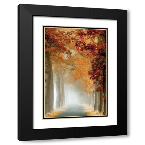 Wonder Curve Black Modern Wood Framed Art Print with Double Matting by Van de Goor, Lars