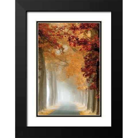 Wonder Curve Black Modern Wood Framed Art Print with Double Matting by Van de Goor, Lars