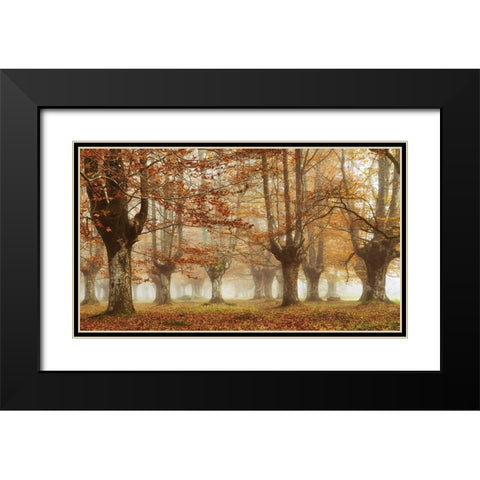 Misty Pan Black Modern Wood Framed Art Print with Double Matting by Van de Goor, Lars