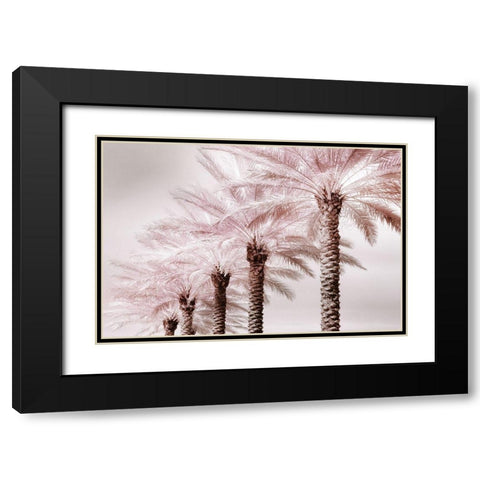 Stately Palms Black Modern Wood Framed Art Print with Double Matting by Delimont, Danita