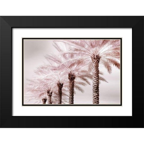 Stately Palms Black Modern Wood Framed Art Print with Double Matting by Delimont, Danita