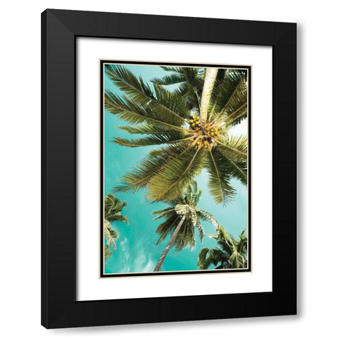 Palms Up Black Modern Wood Framed Art Print with Double Matting by Delimont, Danita