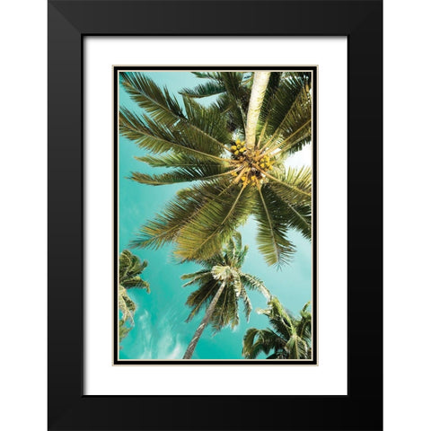 Palms Up Black Modern Wood Framed Art Print with Double Matting by Delimont, Danita