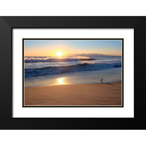 Sunset Black Modern Wood Framed Art Print with Double Matting by Carpentieri, Natalie