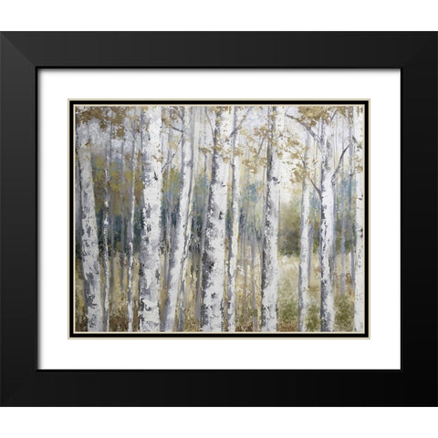 Hidden Birch Black Modern Wood Framed Art Print with Double Matting by Nan