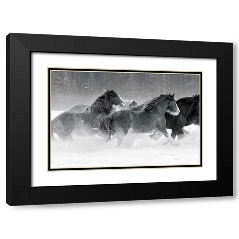 Winter Roundup I Black Modern Wood Framed Art Print with Double Matting by Delimont, Danita