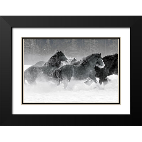 Winter Roundup I Black Modern Wood Framed Art Print with Double Matting by Delimont, Danita