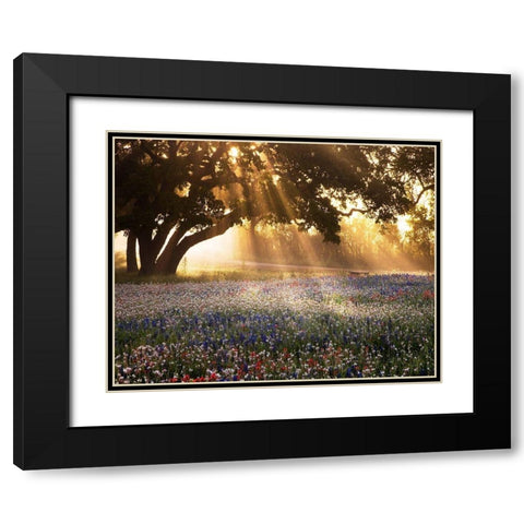 Morning Meadow Black Modern Wood Framed Art Print with Double Matting by Delimont, Danita