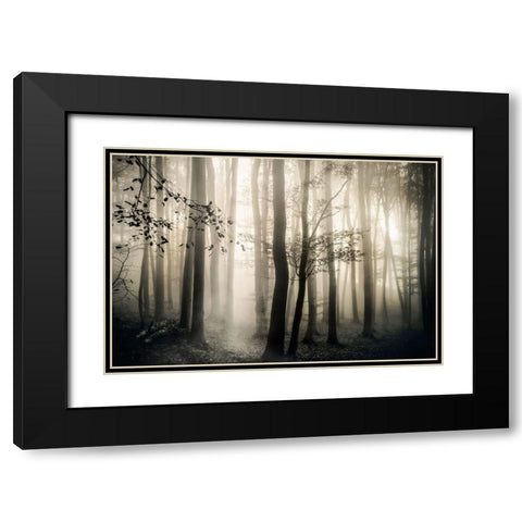 Light is Always Black Modern Wood Framed Art Print with Double Matting by Weisz, Irene