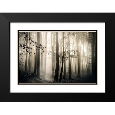 Light is Always Black Modern Wood Framed Art Print with Double Matting by Weisz, Irene