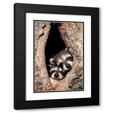 Peeking Out Black Modern Wood Framed Art Print with Double Matting by Jones, Adam