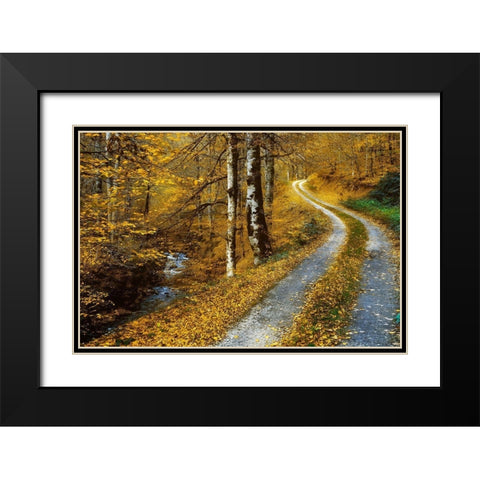 Winding Road Black Modern Wood Framed Art Print with Double Matting by Van de Goor, Lars