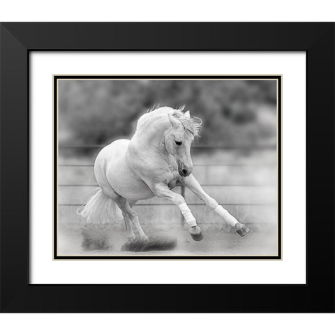 All For Show Black Modern Wood Framed Art Print with Double Matting by Klopfer, Lee