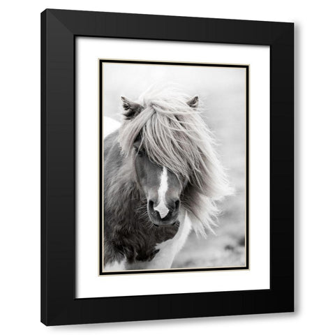 Shetland Summer Black Modern Wood Framed Art Print with Double Matting by Zwick, Martin