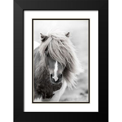 Shetland Summer Black Modern Wood Framed Art Print with Double Matting by Zwick, Martin