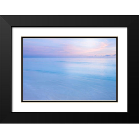 Midway Atoll Black Modern Wood Framed Art Print with Double Matting by Delimont, Danita