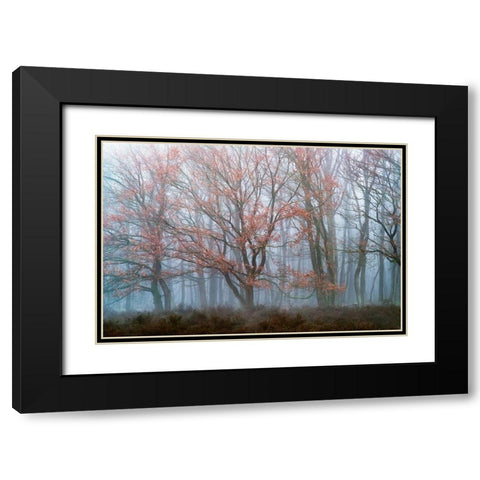 Misty Contrasts Black Modern Wood Framed Art Print with Double Matting by Van de Goor, Lars