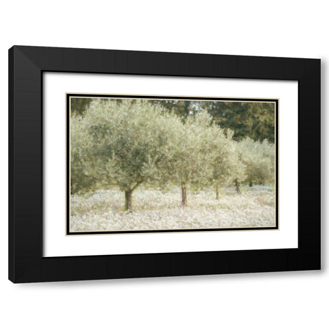 Paintograph Olive Trees Black Modern Wood Framed Art Print with Double Matting by Van de Goor, Lars