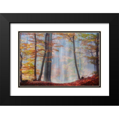 Always Magic Black Modern Wood Framed Art Print with Double Matting by Weisz, Irene