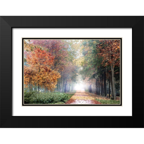 Breath Black Modern Wood Framed Art Print with Double Matting by Weisz, Irene