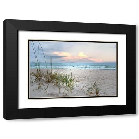 Beach Driftwood Black Modern Wood Framed Art Print with Double Matting by Nan