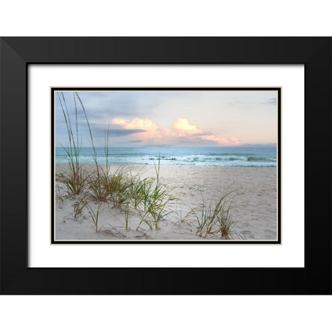 Beach Driftwood Black Modern Wood Framed Art Print with Double Matting by Nan